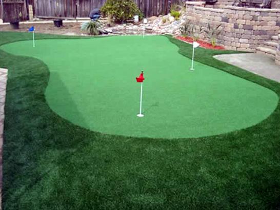 Artificial Grass Photos: Best Artificial Grass Puyallup, Washington Landscape Photos, Backyard Designs