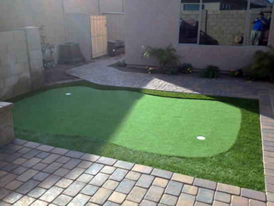 Artificial Grass Photos: Best Artificial Grass Roosevelt, Washington Outdoor Putting Green, Beautiful Backyards