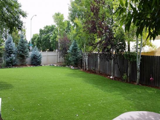 Artificial Grass Photos: Best Artificial Grass Shaker Church, Washington Fake Grass For Dogs, Backyard