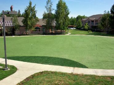 Artificial Grass Photos: Best Artificial Grass South Wenatchee, Washington Backyard Putting Green, Commercial Landscape