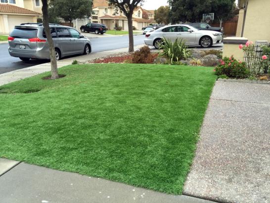 Artificial Grass Photos: Best Artificial Grass Tacoma, Washington Roof Top, Front Yard Landscaping