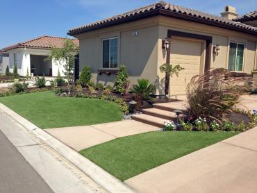 Artificial Grass Photos: Best Artificial Grass West Lake Stevens, Washington Rooftop, Small Front Yard Landscaping