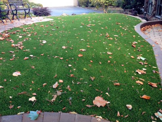 Artificial Grass Photos: Best Artificial Grass Woodinville, Washington Garden Ideas, Front Yard