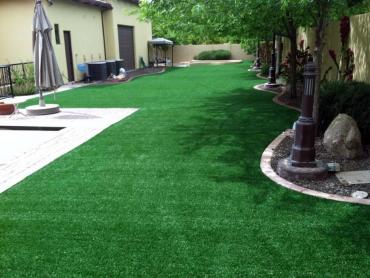 Artificial Grass Photos: Fake Grass Bucoda, Washington Design Ideas, Backyard Garden Ideas