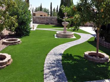 Artificial Grass Photos: Fake Grass Carpet Acme, Washington Roof Top, Backyard Landscape Ideas