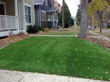 Artificial Grass Photos: Fake Grass Carpet Baring, Washington Roof Top, Landscaping Ideas For Front Yard