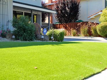 Artificial Grass Photos: Fake Grass Carpet Five Corners, Washington Rooftop, Front Yard