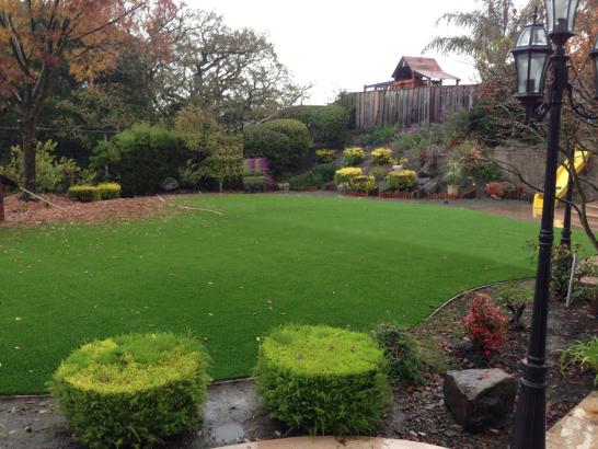 Artificial Grass Photos: Fake Grass Carpet Hatton, Washington Lawn And Garden, Backyard Garden Ideas