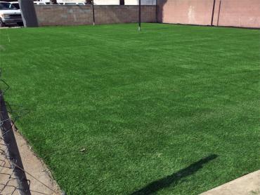 Artificial Grass Photos: Fake Grass Carpet Humptulips, Washington Backyard Soccer