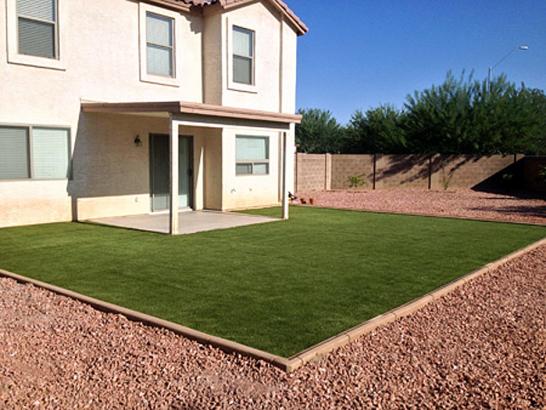 Artificial Grass Photos: Fake Grass Carpet John Sam Lake, Washington Design Ideas, Backyard Garden Ideas