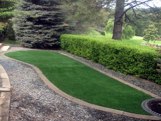 Artificial Grass Photos: Fake Grass Carpet Manchester, Washington Backyard Deck Ideas