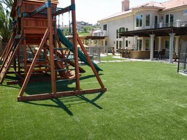 Artificial Grass Photos: Fake Grass Carpet Milton, Washington Landscape Design, Small Backyard Ideas