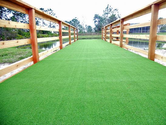 Artificial Grass Photos: Fake Grass Carpet Moses Lake North, Washington Hotel For Dogs, Commercial Landscape