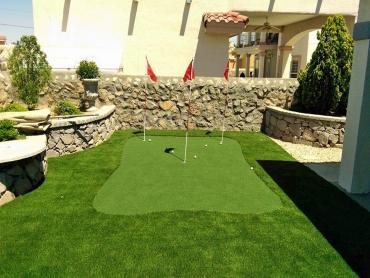 Artificial Grass Photos: Fake Grass Carpet Napavine, Washington Putting Green, Backyard Garden Ideas