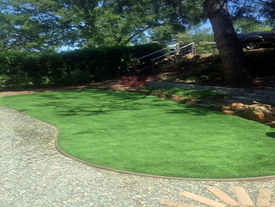 Artificial Grass Photos: Fake Grass Carpet Newcastle, Washington Landscape Photos, Backyard