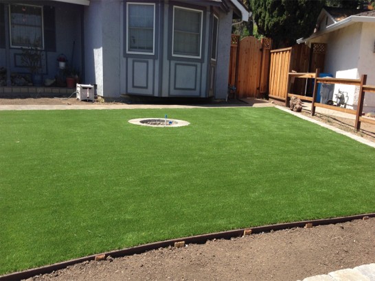 Artificial Grass Photos: Fake Grass Carpet Olympia, Washington Landscape Photos, Small Backyard Ideas