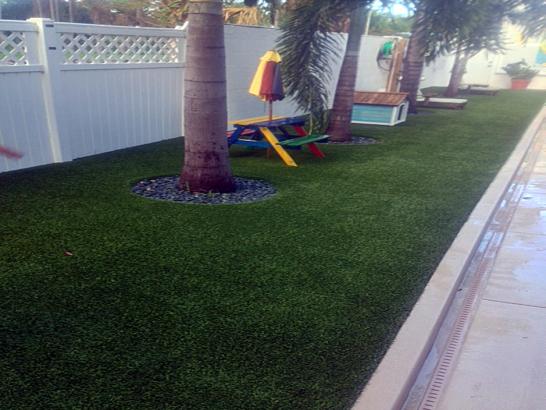 Artificial Grass Photos: Fake Grass Carpet Redmond, Washington Design Ideas, Backyard Makeover