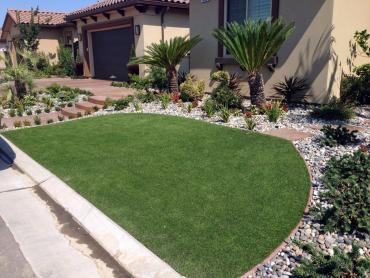 Artificial Grass Photos: Fake Grass Carpet Summit, Washington Garden Ideas, Landscaping Ideas For Front Yard