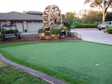 Artificial Grass Photos: Fake Grass Carpet Taholah, Washington Paver Patio, Front Yard Landscape Ideas