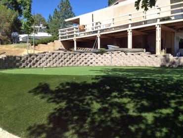 Artificial Grass Photos: Fake Grass Carpet Tanglewilde-Thompson Place, Washington Landscaping, Beautiful Backyards