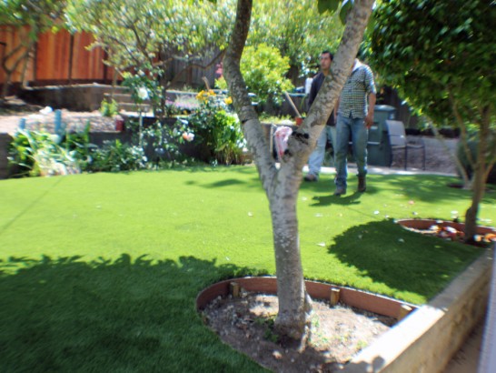 Artificial Grass Photos: Fake Grass Carpet Tumwater, Washington Landscape Ideas, Backyard Makeover