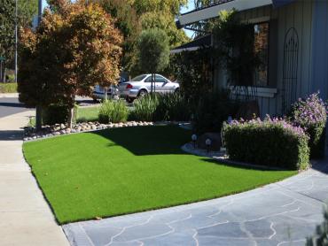 Artificial Grass Photos: Fake Grass Carpet Venersborg, Washington Landscape Rock, Front Yard Ideas