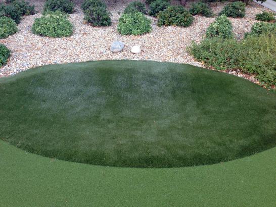 Artificial Grass Photos: Fake Grass Carpet Wilson Creek, Washington Lawns