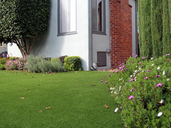 Artificial Grass Photos: Fake Grass Elbe, Washington Landscaping, Front Yard Design