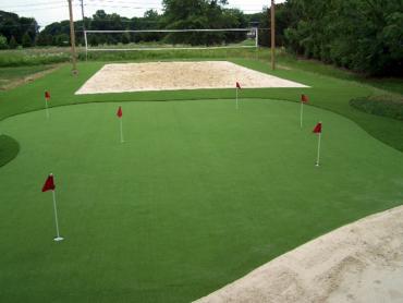 Artificial Grass Photos: Fake Grass Fox Island, Washington Office Putting Green, Backyard Design