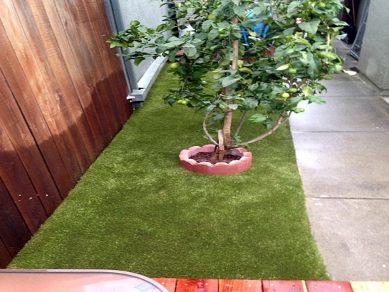 Artificial Grass Photos: Fake Grass Graham, Washington Dog Running, Backyard Landscaping Ideas