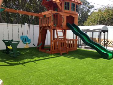 Artificial Grass Photos: Fake Grass Lacey, Washington Paver Patio, Backyard Landscaping