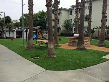 Artificial Grass Photos: Fake Grass Maple Valley, Washington Lawns, Commercial Landscape