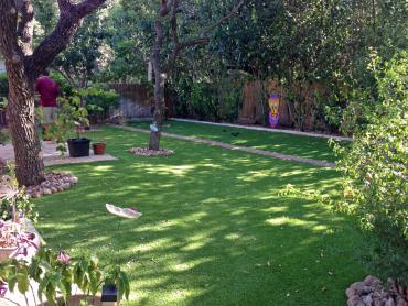 Artificial Grass Photos: Fake Grass Marietta, Washington Garden Ideas, Backyard