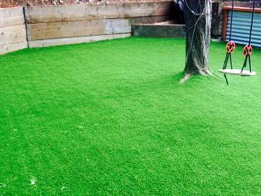 Artificial Grass Photos: Fake Grass Markham, Washington Upper Playground, Small Backyard Ideas