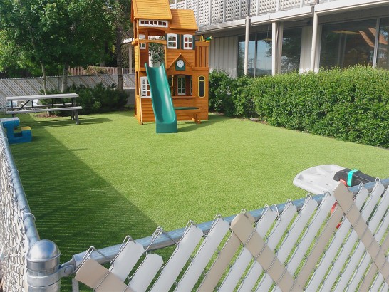 Artificial Grass Photos: Fake Grass Shelton, Washington City Landscape, Backyard Makeover