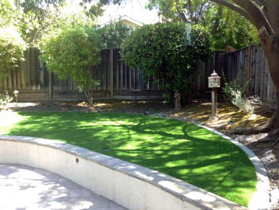 Artificial Grass Photos: Fake Grass Warden, Washington Backyard Playground, Commercial Landscape