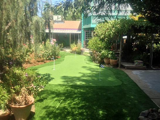 Artificial Grass Photos: Fake Grass Yarrow Point, Washington Design Ideas