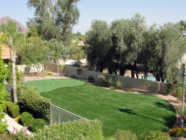 Artificial Grass Photos: Fake Lawn Arlington, Washington Office Putting Green, Backyard Design