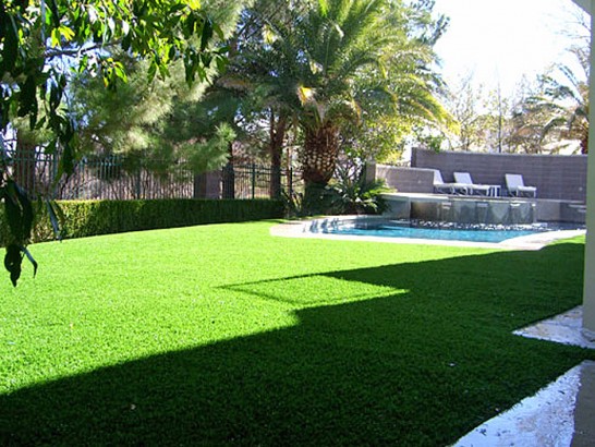 Artificial Grass Photos: Fake Lawn Ault Field, Washington Landscape Ideas, Small Backyard Ideas