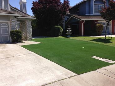 Artificial Grass Photos: Fake Lawn Enumclaw, Washington Lawns, Small Front Yard Landscaping