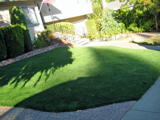 Artificial Grass Photos: Fake Lawn Maryhill, Washington Landscape Design, Front Yard Landscaping Ideas
