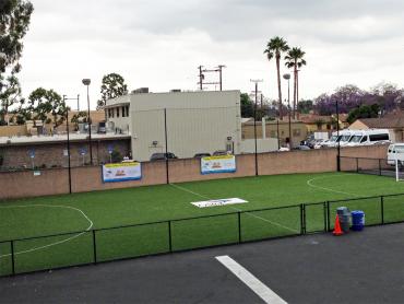 Artificial Grass Photos: Fake Lawn North Creek, Washington Football Field, Commercial Landscape