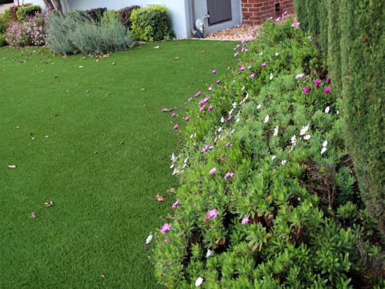 Artificial Grass Photos: Fake Lawn North Puyallup, Washington Home And Garden, Front Yard Design
