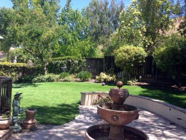 Artificial Grass Photos: Fake Lawn Silver Firs, Washington City Landscape, Beautiful Backyards