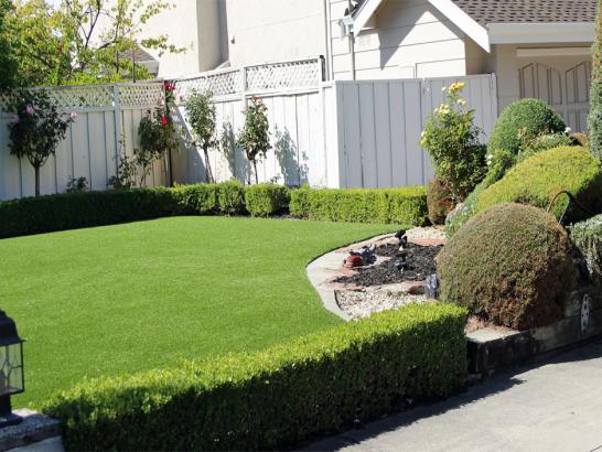 Artificial Grass Photos: Fake Lawn Silverdale, Washington Landscape Photos, Small Front Yard Landscaping