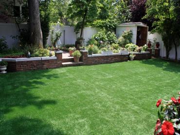 Artificial Grass Photos: Fake Lawn Tenino, Washington Landscape Ideas, Backyard Ideas