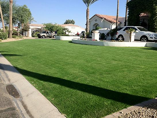 Artificial Grass Photos: Fake Turf Black Diamond, Washington Landscaping, Front Yard Landscape Ideas