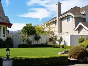 Artificial Grass Photos: Fake Turf Cherry Grove, Washington Gardeners, Small Front Yard Landscaping