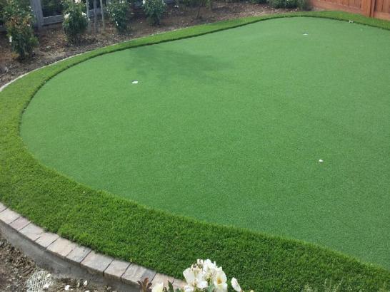 Artificial Grass Photos: Fake Turf Custer, Washington Landscaping, Backyards