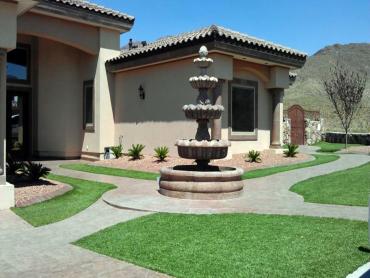 Artificial Grass Photos: Fake Turf Lakeland North, Washington Rooftop, Front Yard Landscape Ideas